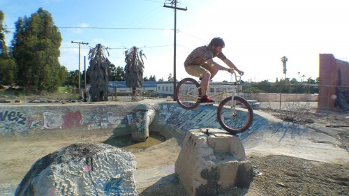 Nose_bonk_Jim-500x281 Nose_bonk_Jim-500x281