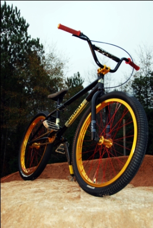 Robert's tricked out gold Model-C