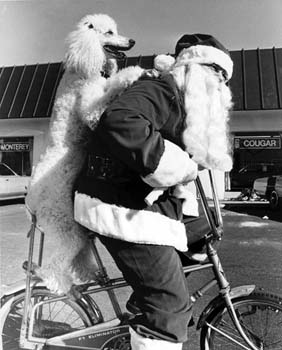 santa and poodle