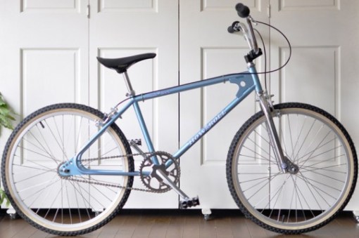 t19 how I roll BMX cruiser