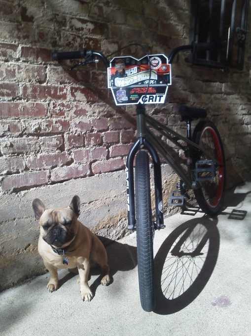 4130 3-year anniv. plate & Mayor's ride