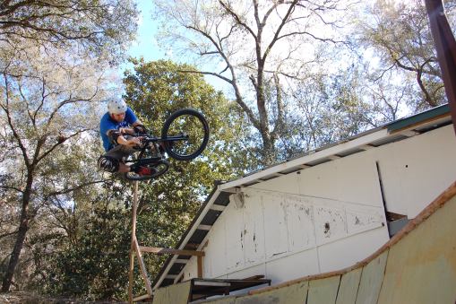 wayne keller table dtt