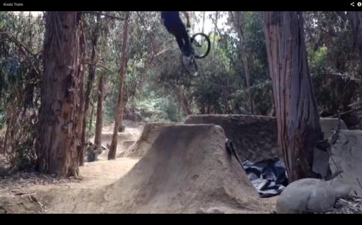 Koala edit Jeremy combs