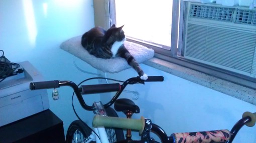 Marty one-handed lookback