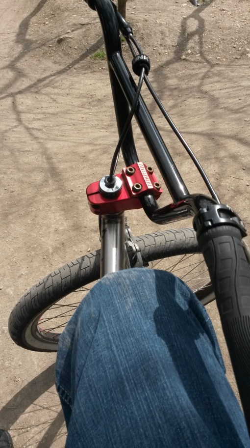 Beelzebike walnut creek