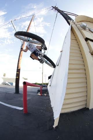 TL tail tap on FAT Ripper