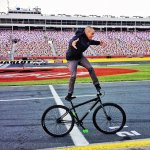 Dave Mirra cruiser&nbsp;surfer