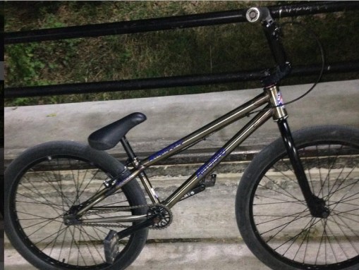 Rocco Altruiste build